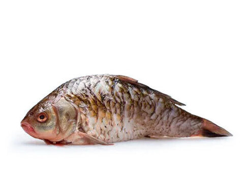 Карась очищенный замороженный~500г