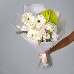 "Комфортное обаяние"