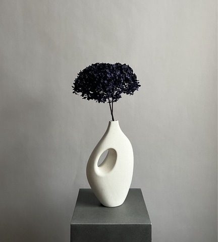 Гортензия стабилизированная фиолетовая