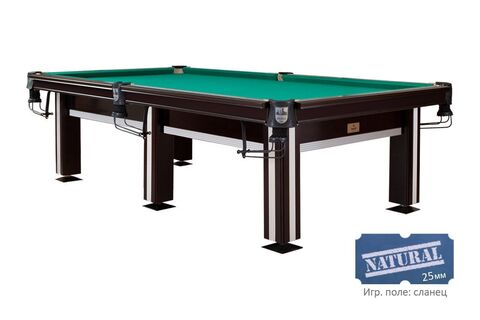Бильярдный стол для пула 