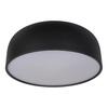 Потолочный светильник Loft It Axel 10201/480 Black