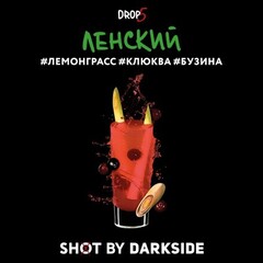 Dark Side 30г. SHOT (Ленский) (М)
