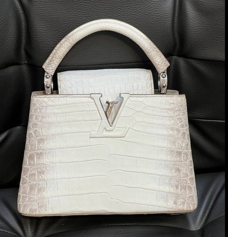 Сумка Louis Vuitton Capucines Mini белый