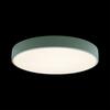 Потолочный светильник Loft It Axel 10002/24 Green