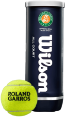 Мячи теннисные Wilson Roland Garros All Court (3 мяча в банке)