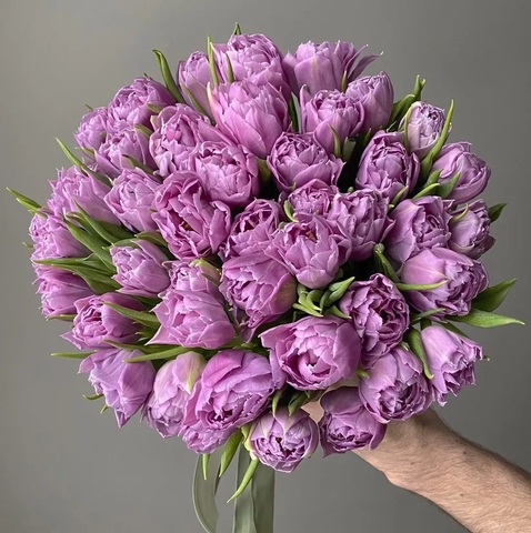 Тюльпаны к 8 Марта