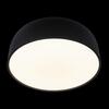 Потолочный светильник Loft It Axel 10201/480 Black