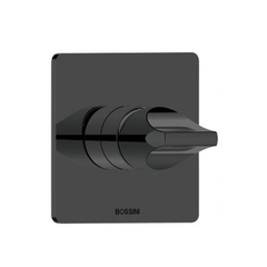 Z00504.073 BOSSINI APICE Смеситель для душа встраиваемый, на  1 выход (внешняя часть), цвет черный матовый фото