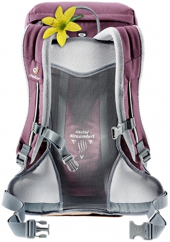 Картинка рюкзак туристический Deuter Zugspitze 22 SL Aubergine-Lion - 4