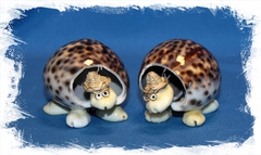 Черепашка из ракушек