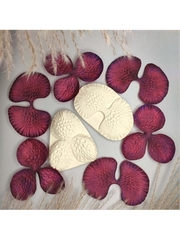 Молд пластиковый Набор Д-12 орхидея 