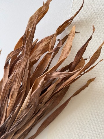 Трава сухоцвет листья соломенно-шоколадный