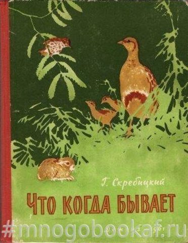 Что когда бывает