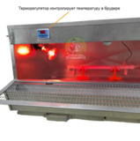 Брудер из оцинкованной стали на 70 цыплят