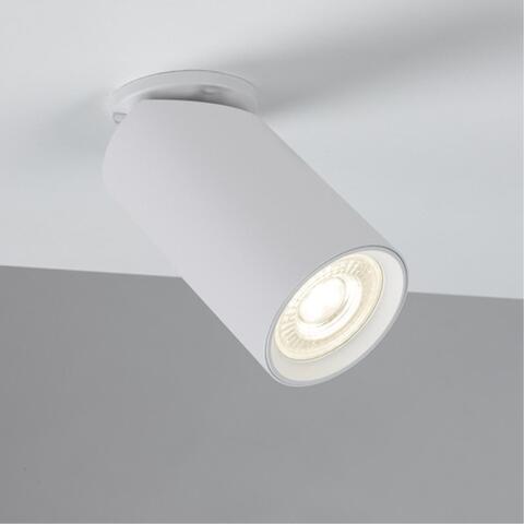 Накладной светильник Arte Lamp NODO A3213PL-1WH