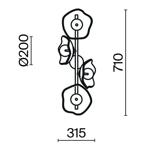 Настенный светильник Maytoni Miracle MOD207WL-04BS
