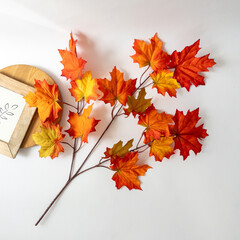 №2 Кленовые листья на ветке Желто-оранжево-зеленые, осенние, 70 см., набор 2 ветки