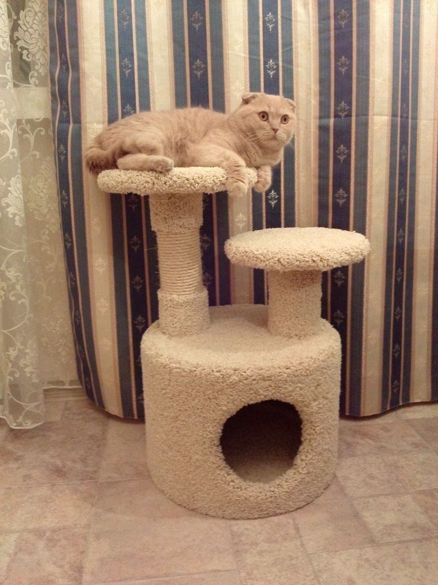 Фото домиков для кошек с когтеточкой