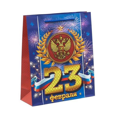 Купить Пакет «Праздник настоящего мужества» 23278см в Магазине тельняшек