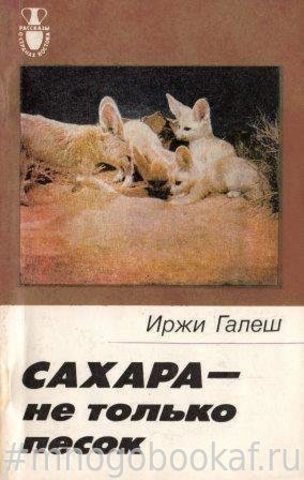 Сахара - не только песок