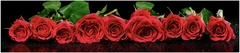 Фартук для кухни ПВХ Panda Красные розы 0186 2800х610 мм