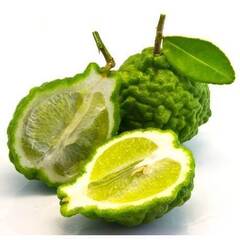 Эфирное масло Бергамота (Bergamot) - 10 мл. Compagnie des Sens