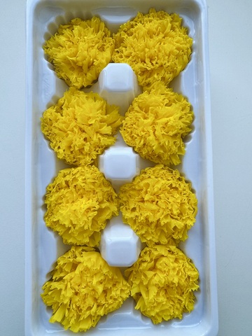 Гвоздика 4-5 см Солнечно-желтый (половина коробки-4шт)