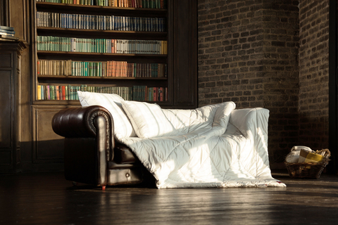 Одеяло легкое 200х220 German Grass Camel Wool Grass