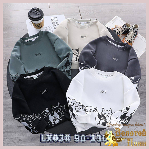 Толстовка хлопок м (2-7) 241224-VN1550