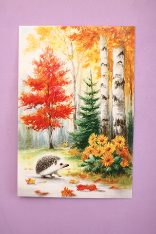 Осенний лес