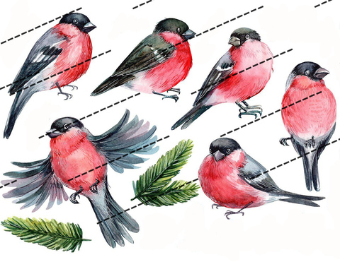 Печать на сахарной бумаге, Набор Птицы 1
