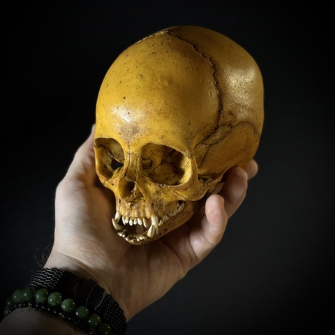 Маленький монстр