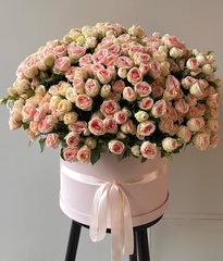 Вау ! Вау ! Вау !