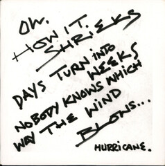 The Rolling Stones / Hurricane (CD Single)