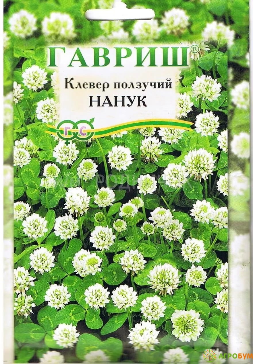 Клевер ползучий белый «Нанук», 0.5 кг - Выгодно в АгроБум