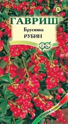 Брусника Рубин 20шт