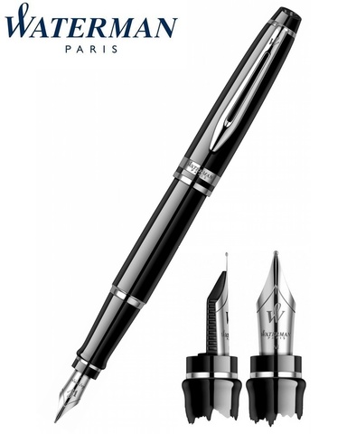 Ручка перьевая Waterman Expert Black CT, F (S0951740)