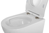 Унитаз подвесной безободковый со смывом TORNADO BelBagno SFERA-TOR BB046CH-TOR
