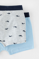 трусы/ уп  для мальчика  К 1980-2уп/небесный,серо-голуб.меланж,акулы