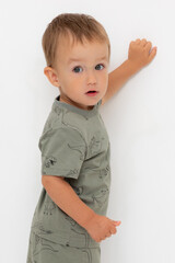 фуфайка  для мальчика  КР 302374/зеленый чай,динозавры к552