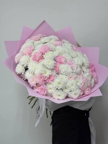 букет из 25-ти бело розовых хризантем