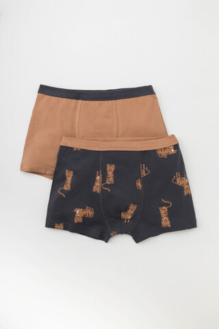 набор трусы/ уп  для мальчика  К 1980-2уп/индийский загар,темно-серый,тигры Ал