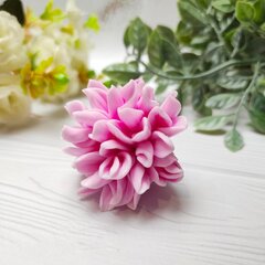 Силиконовая форма 