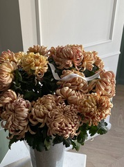 Хризантема одноголовая КУПЕР