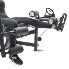 Разгибание/сгибание ног Inspire DMEC1. Стек 52 кг