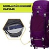 Картинка рюкзак туристический Nevo Rhino Advance 60+5 Purple - 6