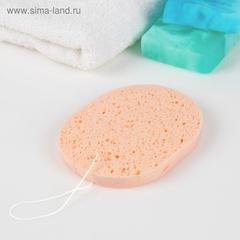 Спонж для умывания «Овал», влажный, с подвесом, цвет бежевый