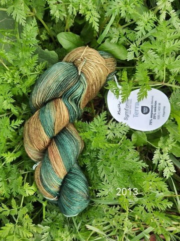 Terra Symfonie 2013 (Himalayas)