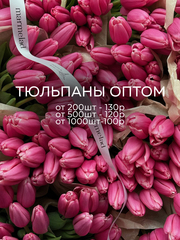ОПТ тюльпан - классика ЯРКО РОЗОВЫЙ