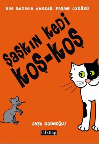 Şaşkın Kedi Koş - Koş